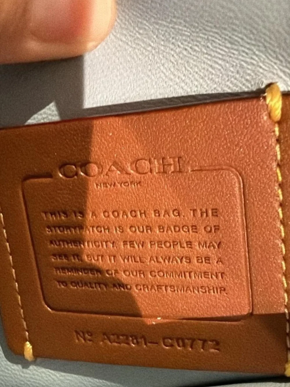 Coach Soft Curve Shoulder Bag in Powder Blue